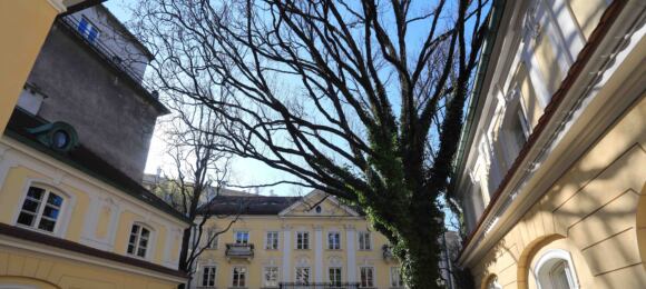 Klasycystyczny pałacyk z dziedzińcem, na którym rośnie drzewo - siedziba IAM w Warszawie