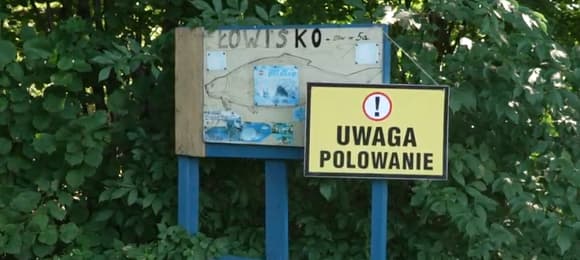 Straż Łowiecka bezradna wobec myśliwych. Komu na tym zależy?
