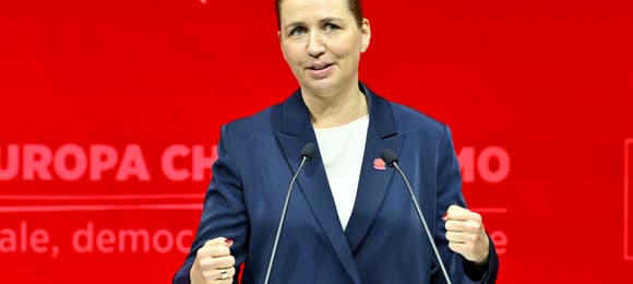 Новое датское правительство объявляет об изменениях в промышленном свиноводстве