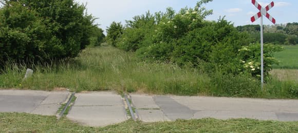Przejazd drogowy na zarosniętej liniii kolejowej