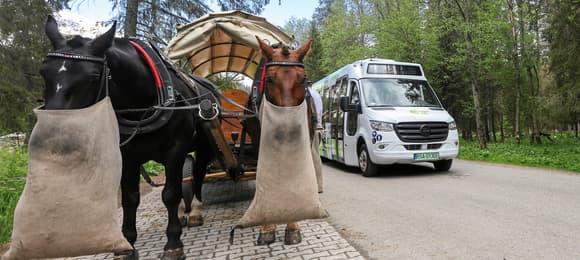 dwa konie z wozem, a obok nich elektryczny bus