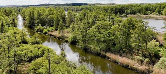 Co po wecie prezydenta do ustawy o Parku Narodowym Doliny Dolnej Odry? Rząd ma plan