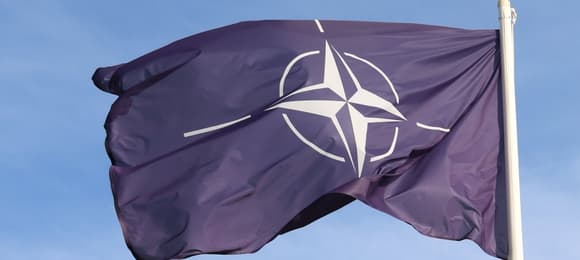 8 państw NATO solidarnie z Danią i Grenlandią. Oświadczenie po groźbach Trumpa