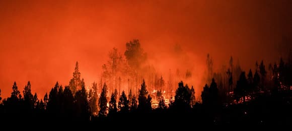 Rekordowe upały i pożary na południowej półkuli. W Australii temperatura sięga plus 50 C