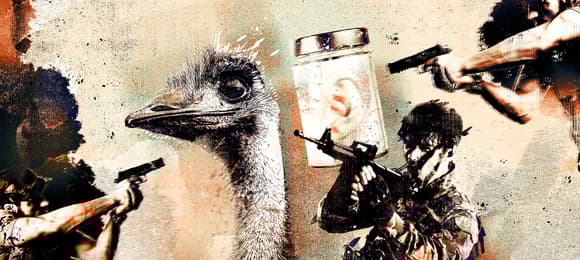 Trump is not the first. There have been wars over Pomeranian cows and over Jenkins' ear