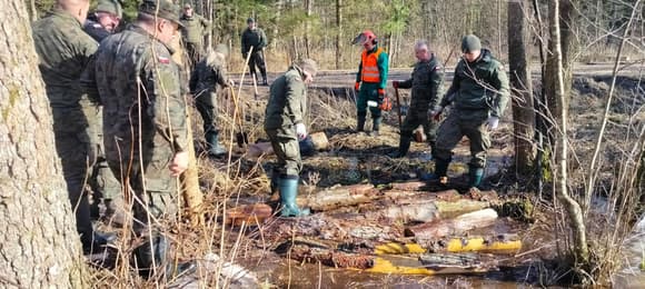 Urzędnicy i terytorialsi zasypują rowy w Puszczy Białowieskiej. Po co? [ROZMOWA]