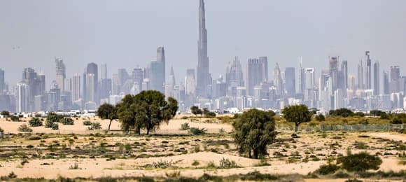 Afera Zondacrypto. Ślady prowadzą do Dubaju