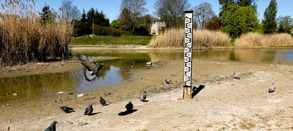 Susza i zagrożenie pożarami. Przed majówką ostrzeżenia w wielu regionach
