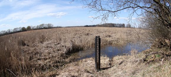 Narwiański Park Narodowy walczy o wodę — prom stanął, bo rzeka za płytka