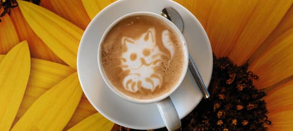 Climate change threatens coffee production as growers bear the heaviest costs