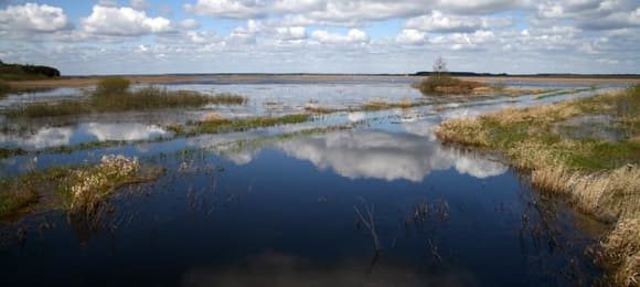 Sztuczny zbiornik osusza Narew. Co dalej z Siemianówką?