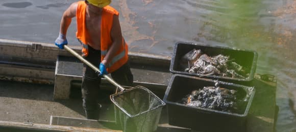 Thousands of fish dead in Bóbr river — Tauron and ministry stay silent