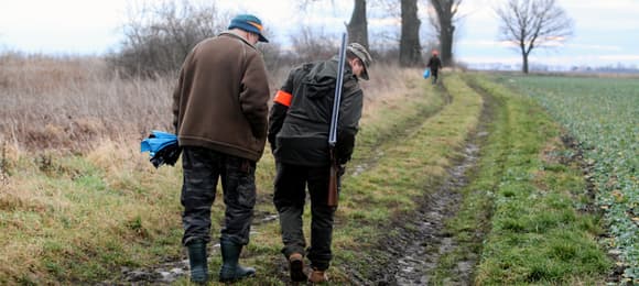 Projekt nowelizacji prawa łowieckiego: transparentność i ochrona zwierząt