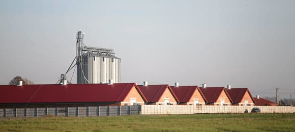 Lex Smród. Rząd chce pomóc fermom przemysłowym, odbierając prawa mieszkańcom wsi