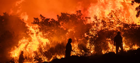 1,4 tys. zgonów dziennie przez upał. Tak zabija zmiana klimatu