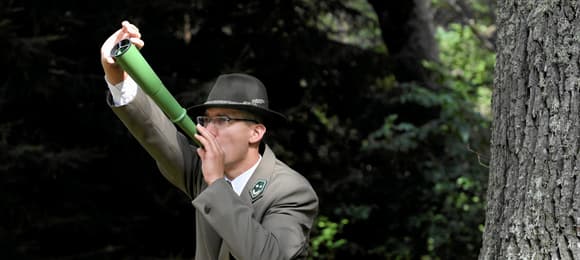 Puszcza Białowieska pod ochroną, jelenie pod lufami. Zakaz polowań tylko na papierze