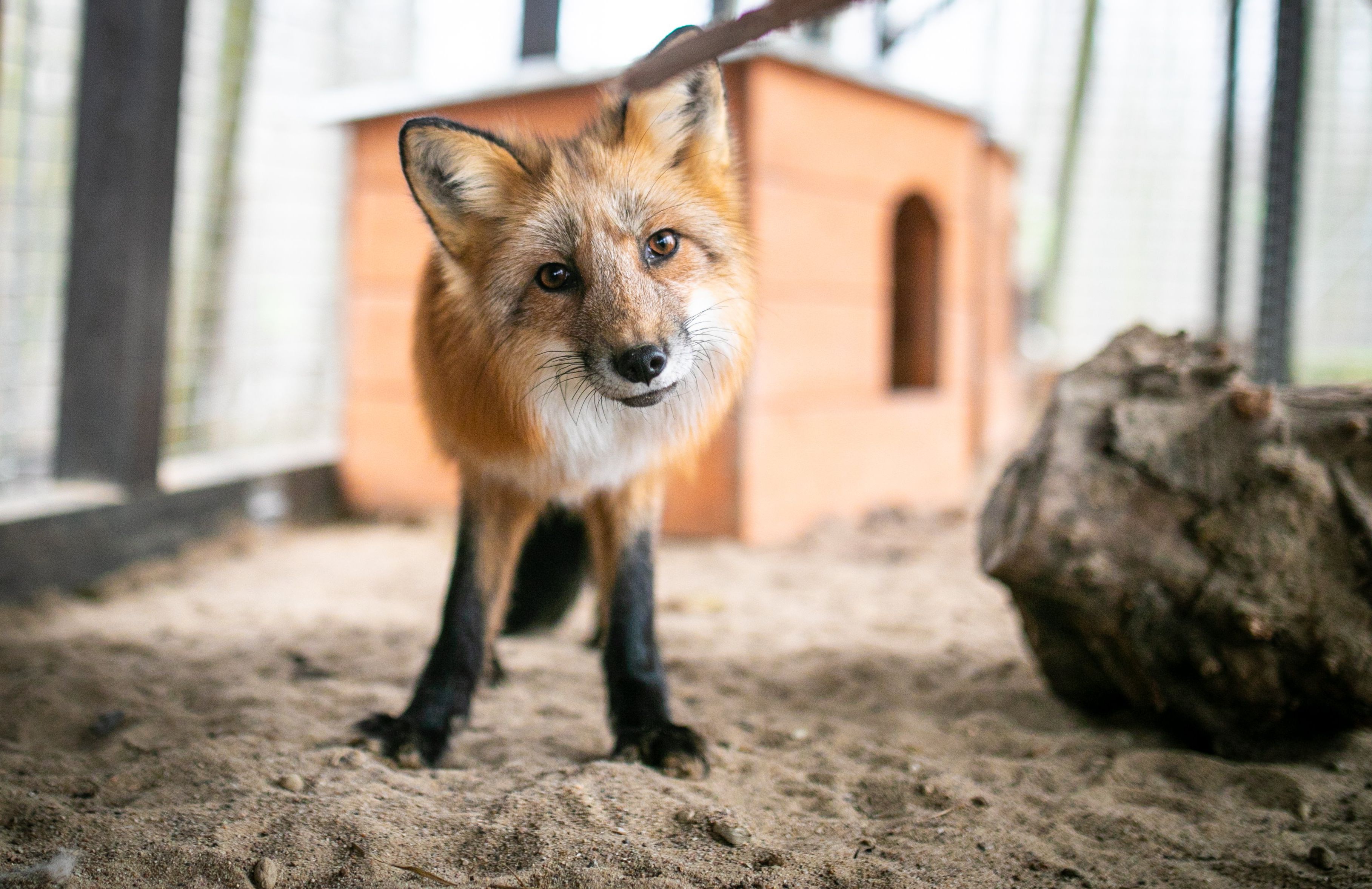 50654432372_645b786acd_o