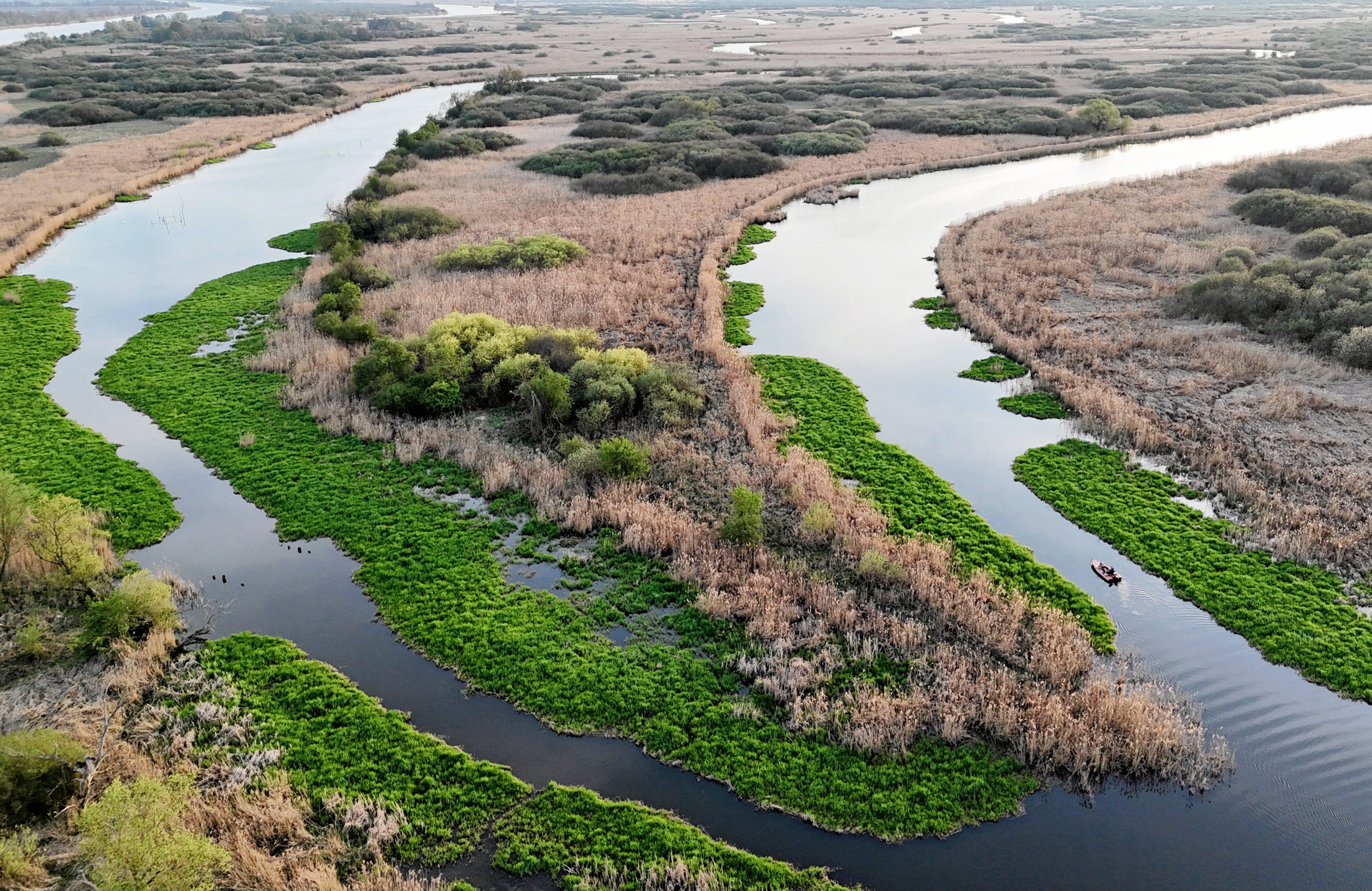 Park Krajobrazowy Dolina Dolnej Odry