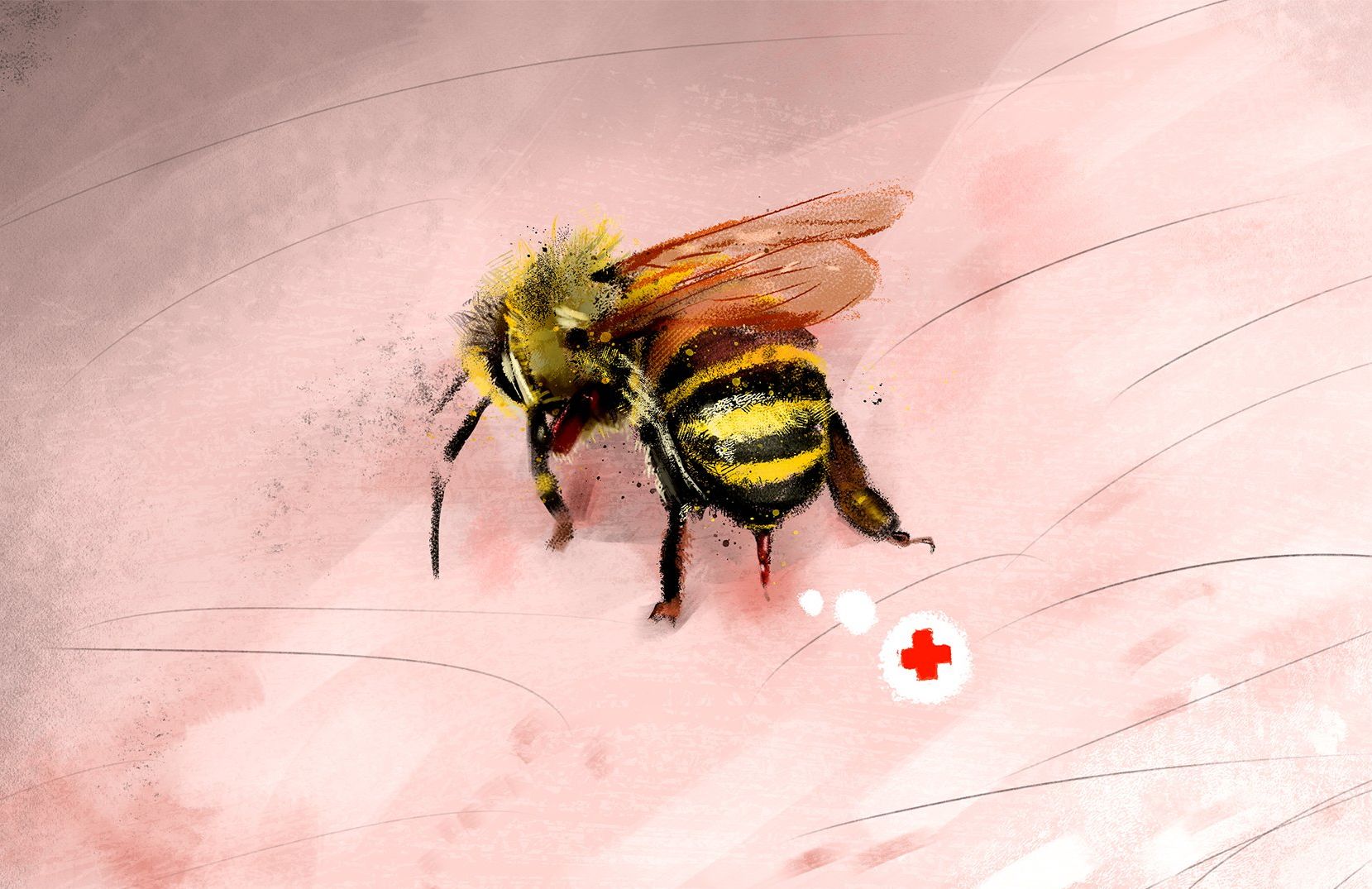 Ilustracja do tekstu o leczniczych właściwościach jadu pszczelego