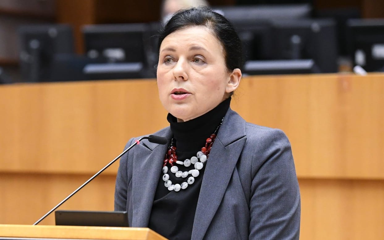 EP plenary session - Democratic Scrutiny of Social Media and the Protection of Fundamental Rights