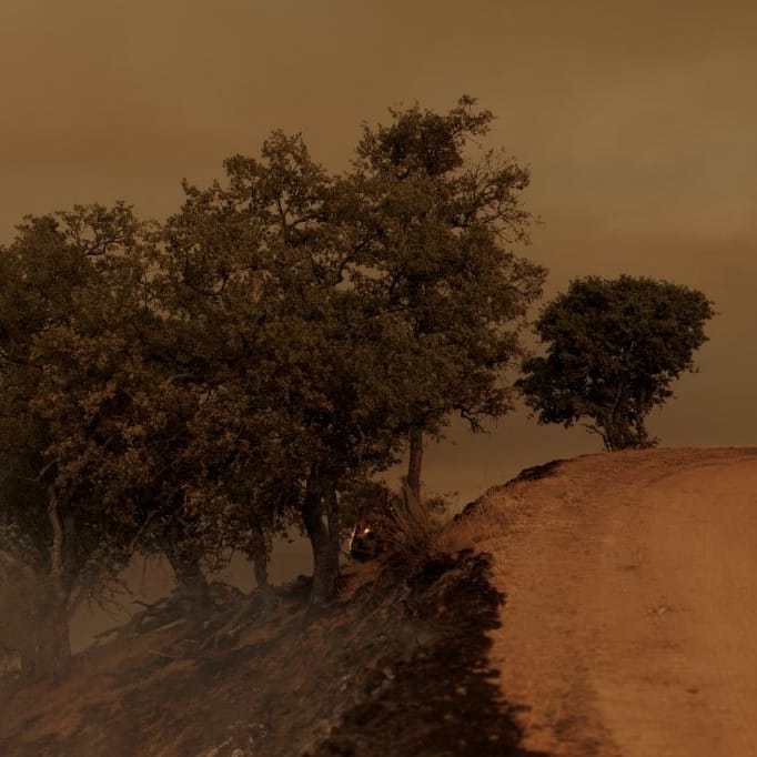 Gifford Fire Grows To California's Largest Wildfire Of Year