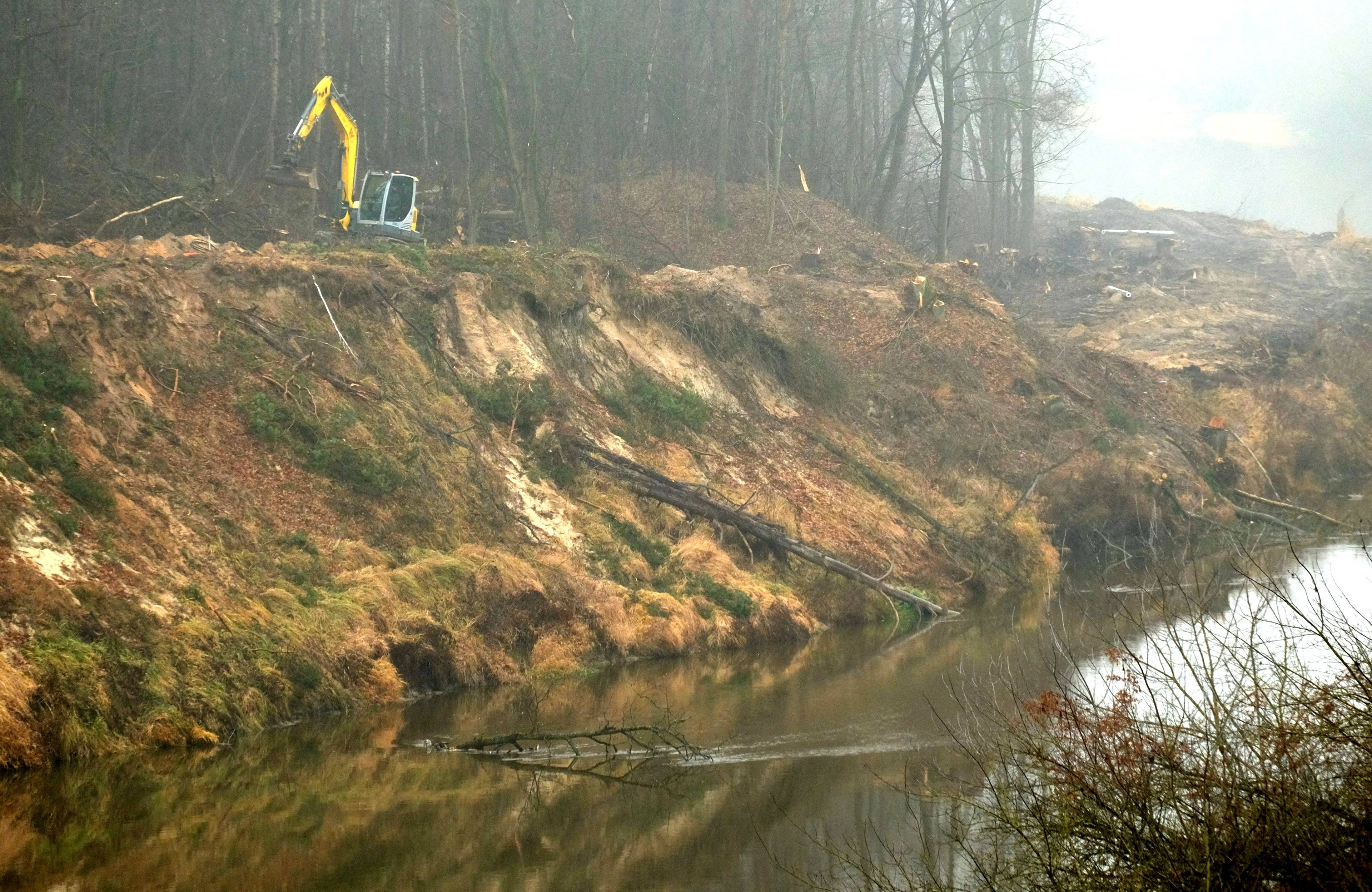 Dewastacja dzikiego brzegu Bugu. Skarpa z wyciętami drzewami, na szczycie stoi koparka