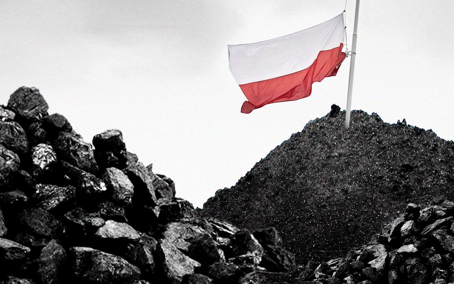 Grafika do artykułu Rządowa agencja głupich zakupów: nabyła mnóstwo węgla, sprzedała tysiące maseczek. Jak to się stało?
