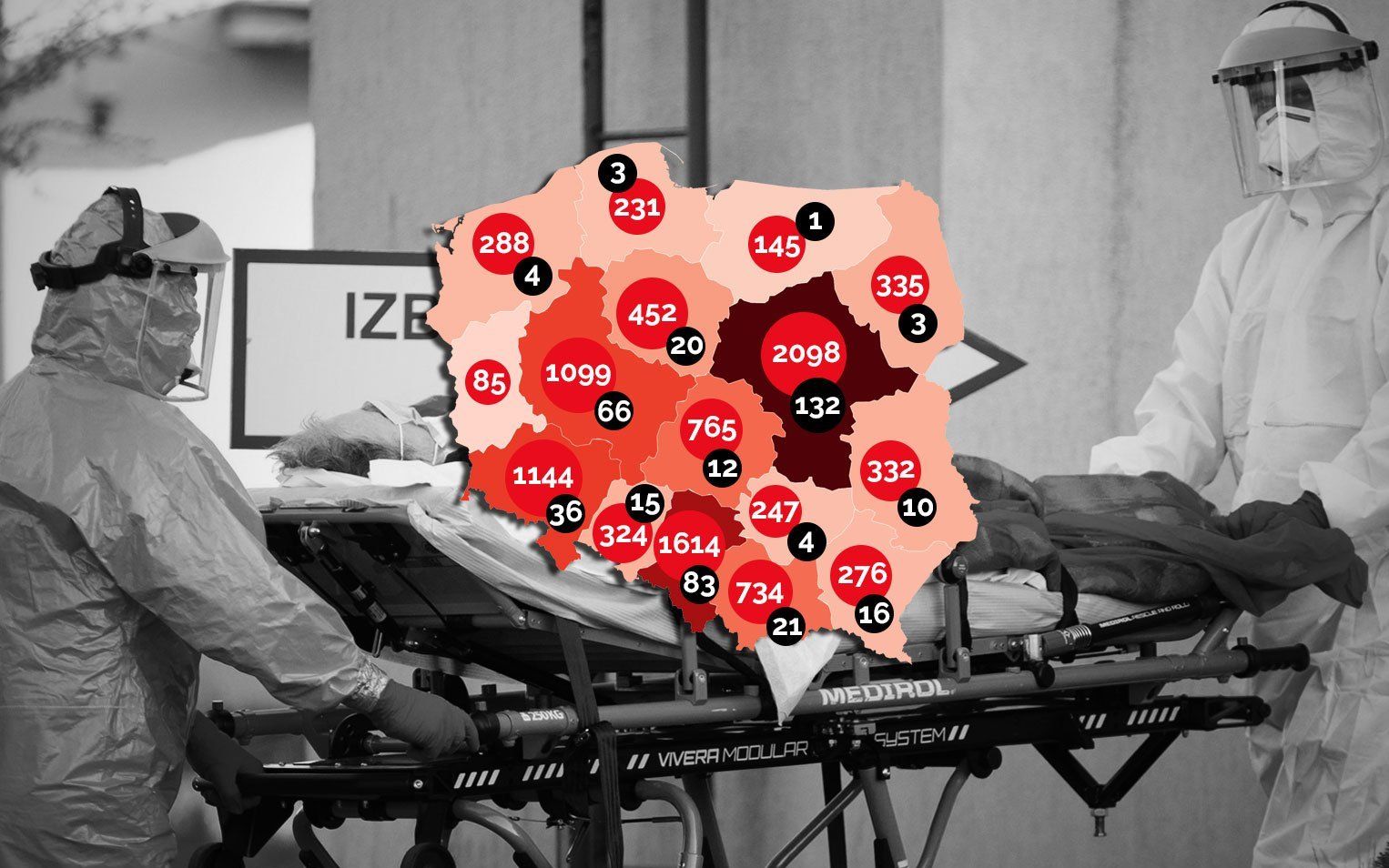 Grafika do artykułu Rekord testów, ale wciąż mało. W USA blisko miliona chorych. WHO ostrzega świat [FAKTY, WYKRESY]