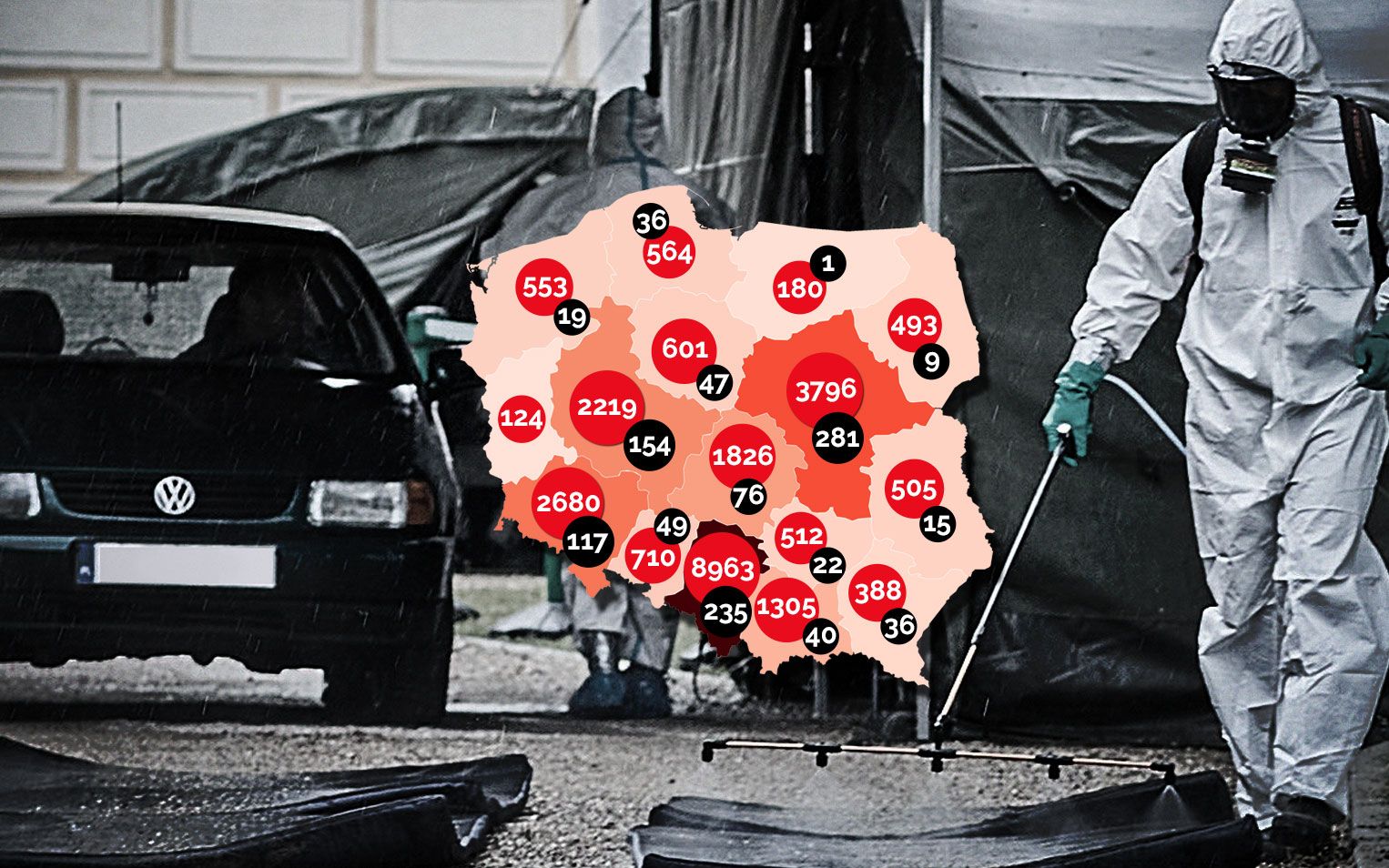 Grafika do artykułu WHO zaleca noszenie masek osobom 60+, Estonia wprowadza paszport immunologiczny [WYKRESY, FAKTY]