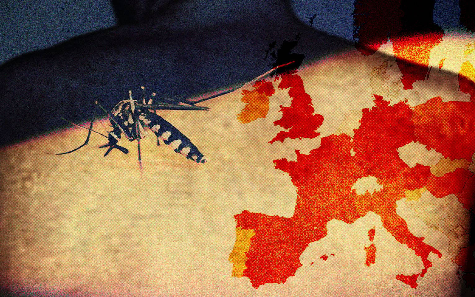 Grafika do artykułu Gorączka krwotoczna puka do Europy. Ekspansja choroby to efekt ocieplania się klimatu