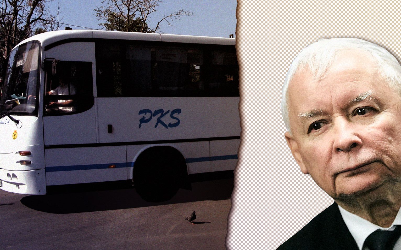 Grafika do artykułu Knot w piątce Kaczyńskiego. PKS w każdej gminie? Nie, tylko w największych