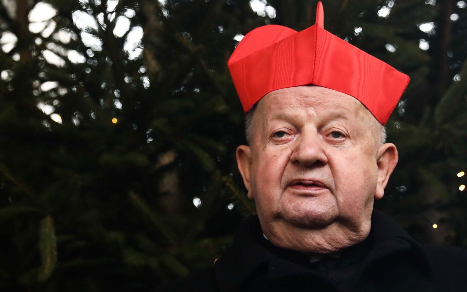 Grafika do artykułu Za pieniądze i po znajomości. Kardynał Dziwisz miał tuszować co najmniej sześć afer pedofilskich