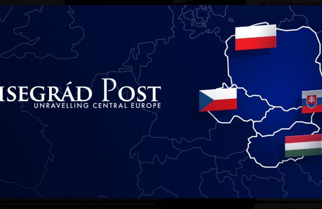 Visegrad Post - logo, platforma X