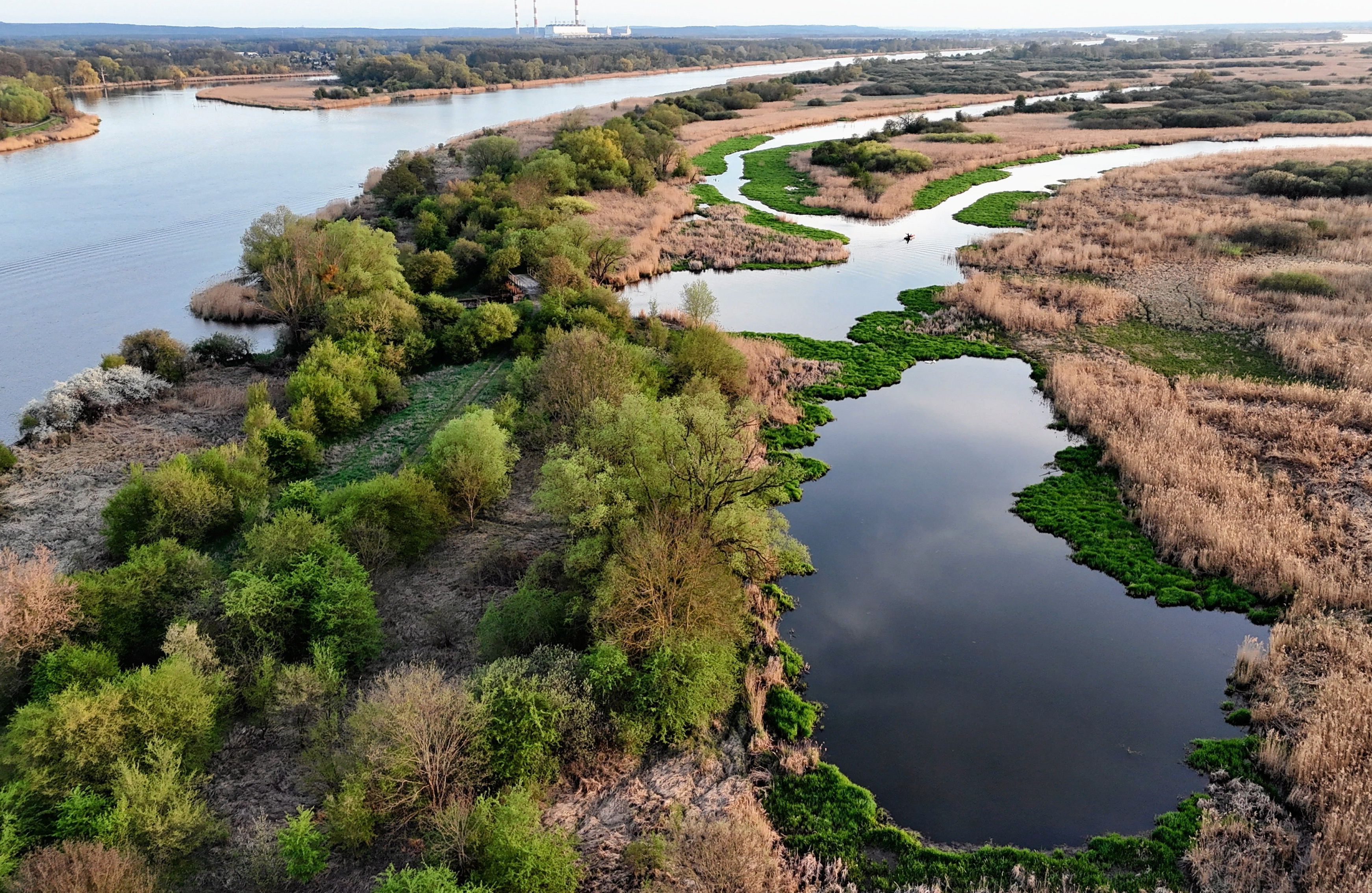 Park Krajobrazowy Dolina Dolnej Odry