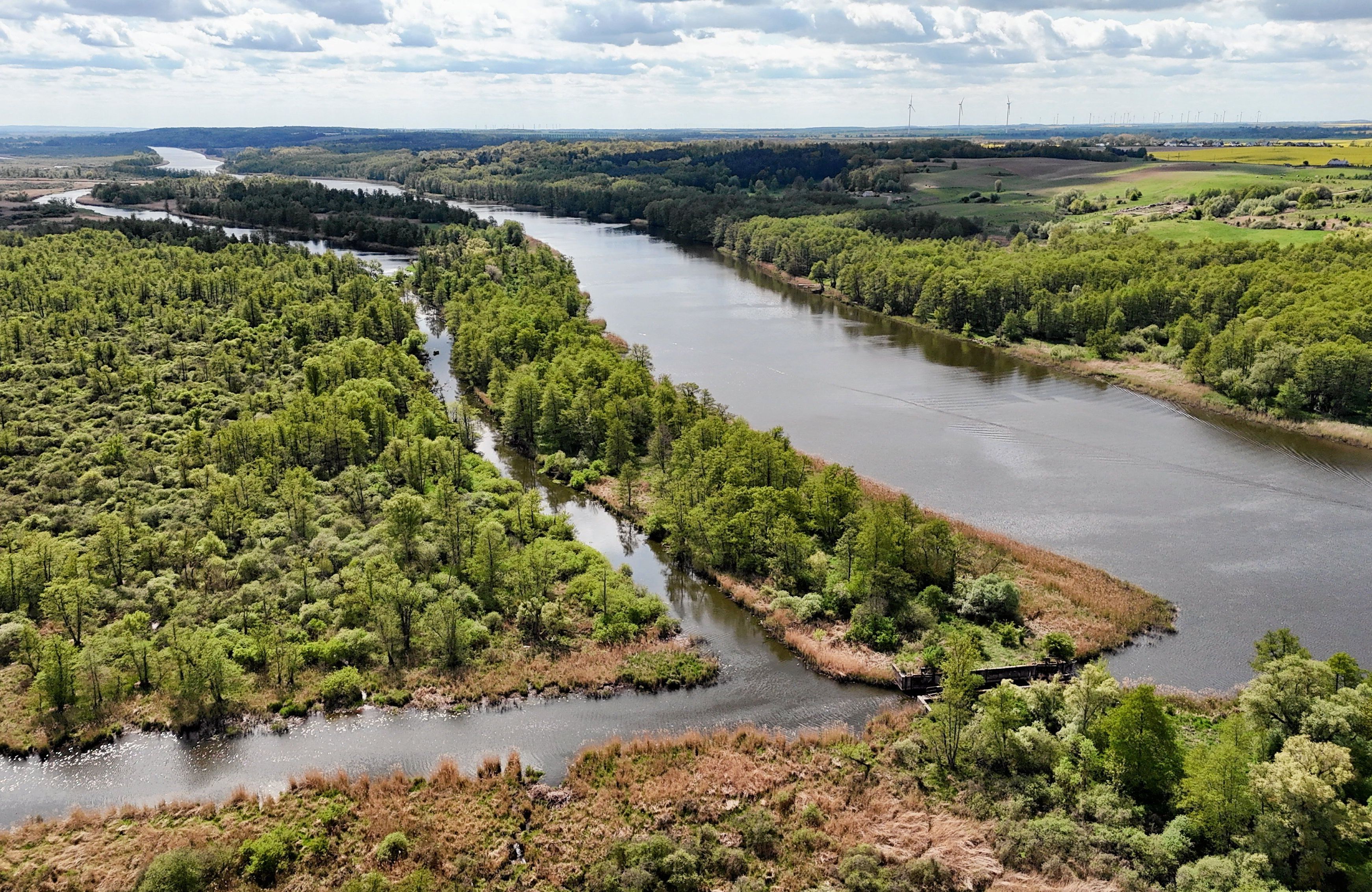 Park Narodowy Doliny Dolnej Odry