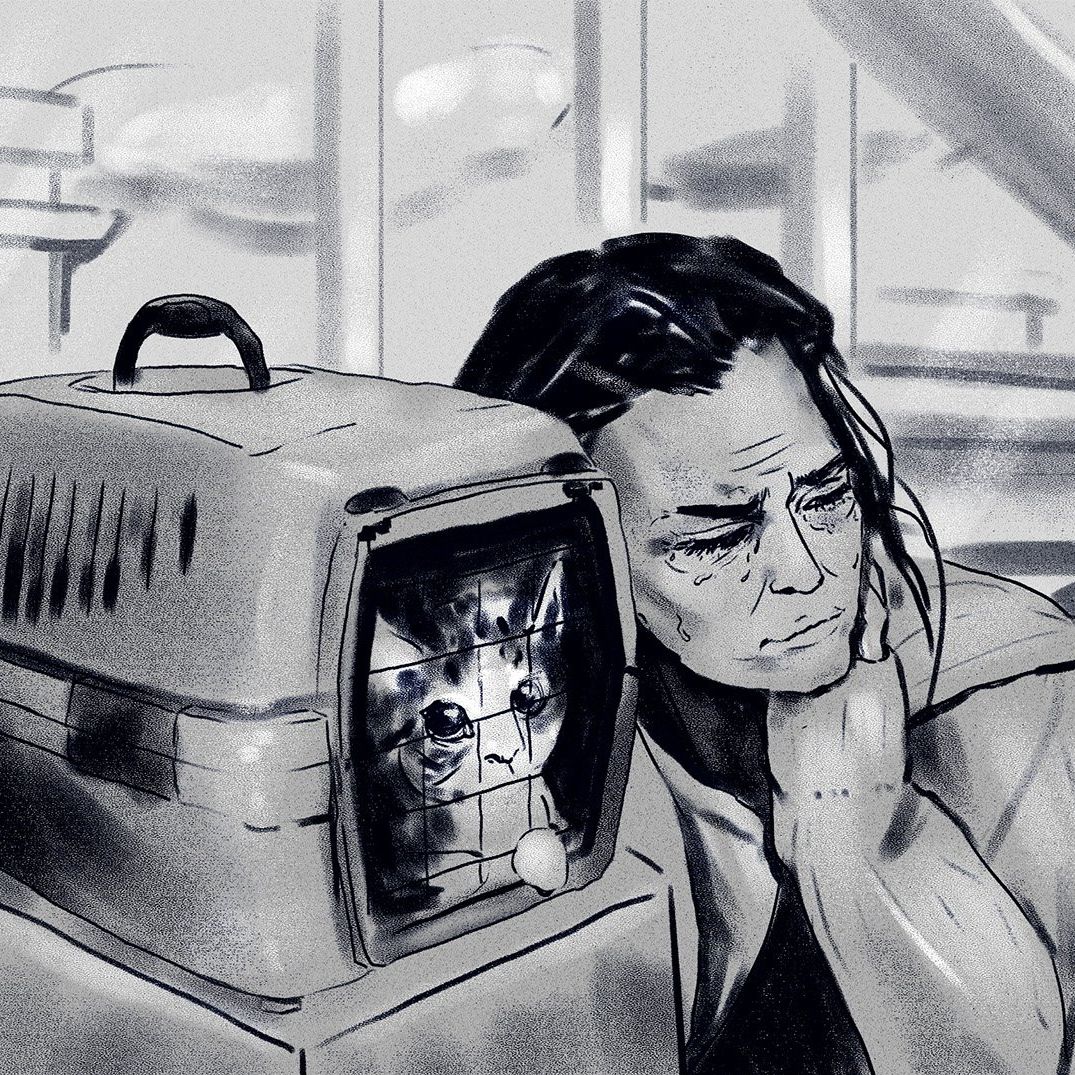 20251024-uchodzcy-ukr