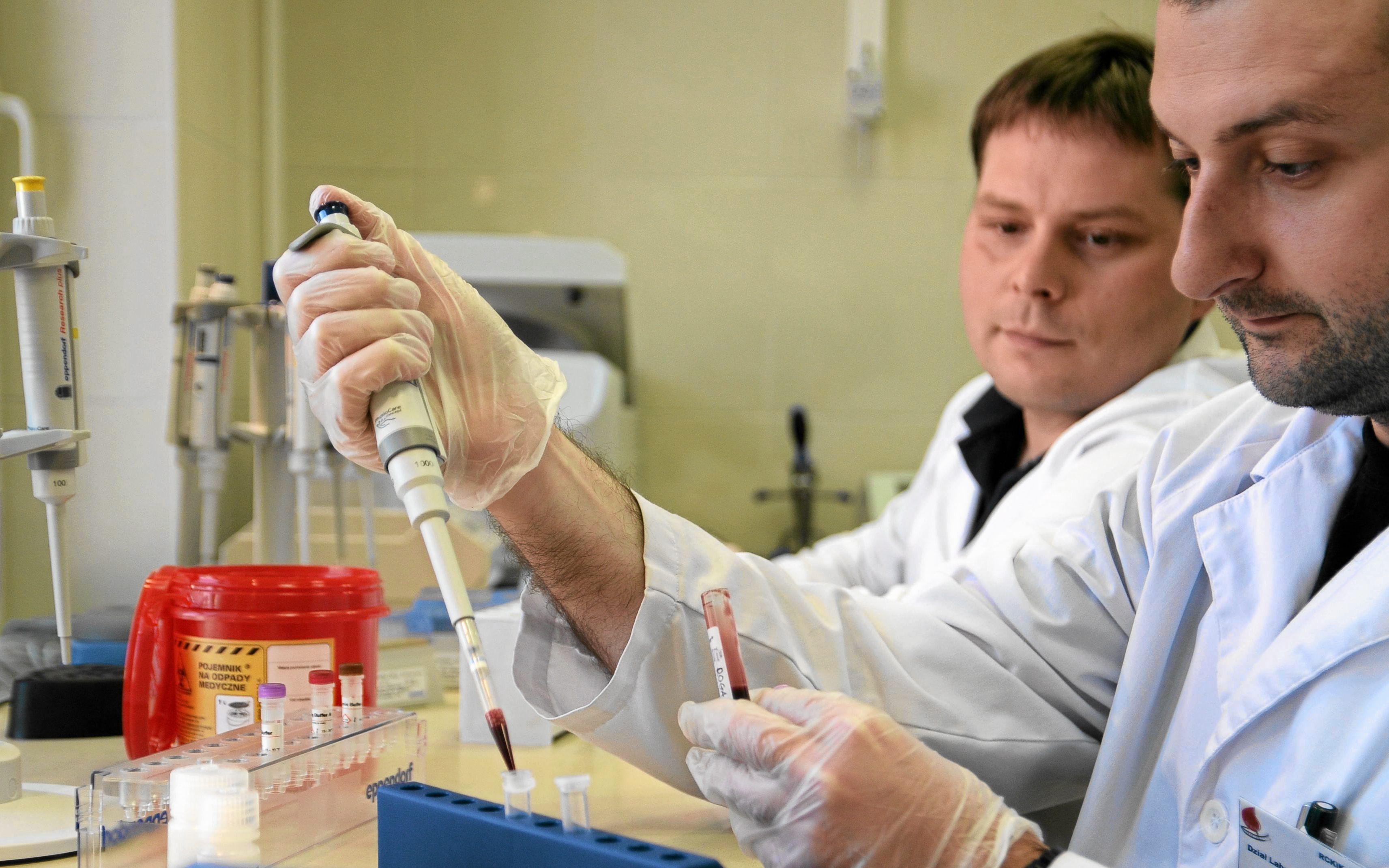 15.10.2013 Olsztyn . Diagnostycy laboratoryjni Sergiusz Brus (z broda) i Dariusz Radlawski w pracowni genetycznej w olsztynskim Centrum Krwiolecznictwa i Krwiodawstwa .
Fot . Robert Robaszewski / Agencja Gazeta