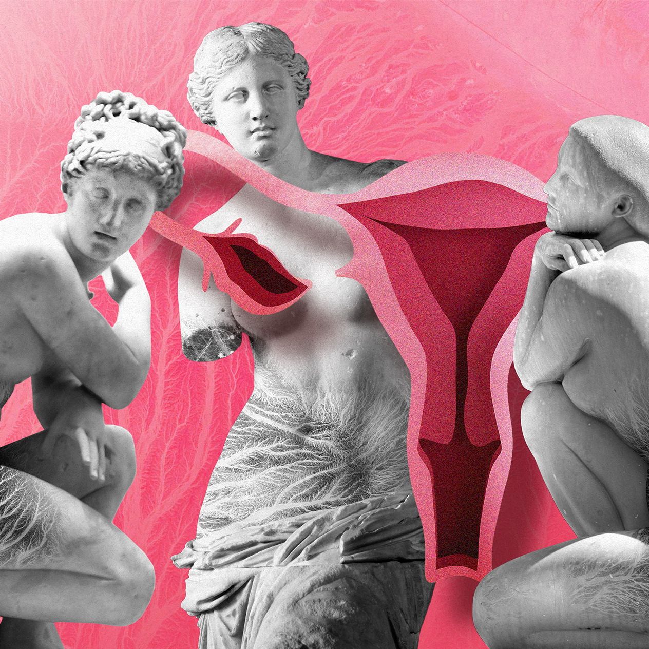 Grafika do artykułu Tylko w ciemności światło, tylko w umieraniu życie. Wigura o endometriozie [FRAGMENT KSIĄŻKI]