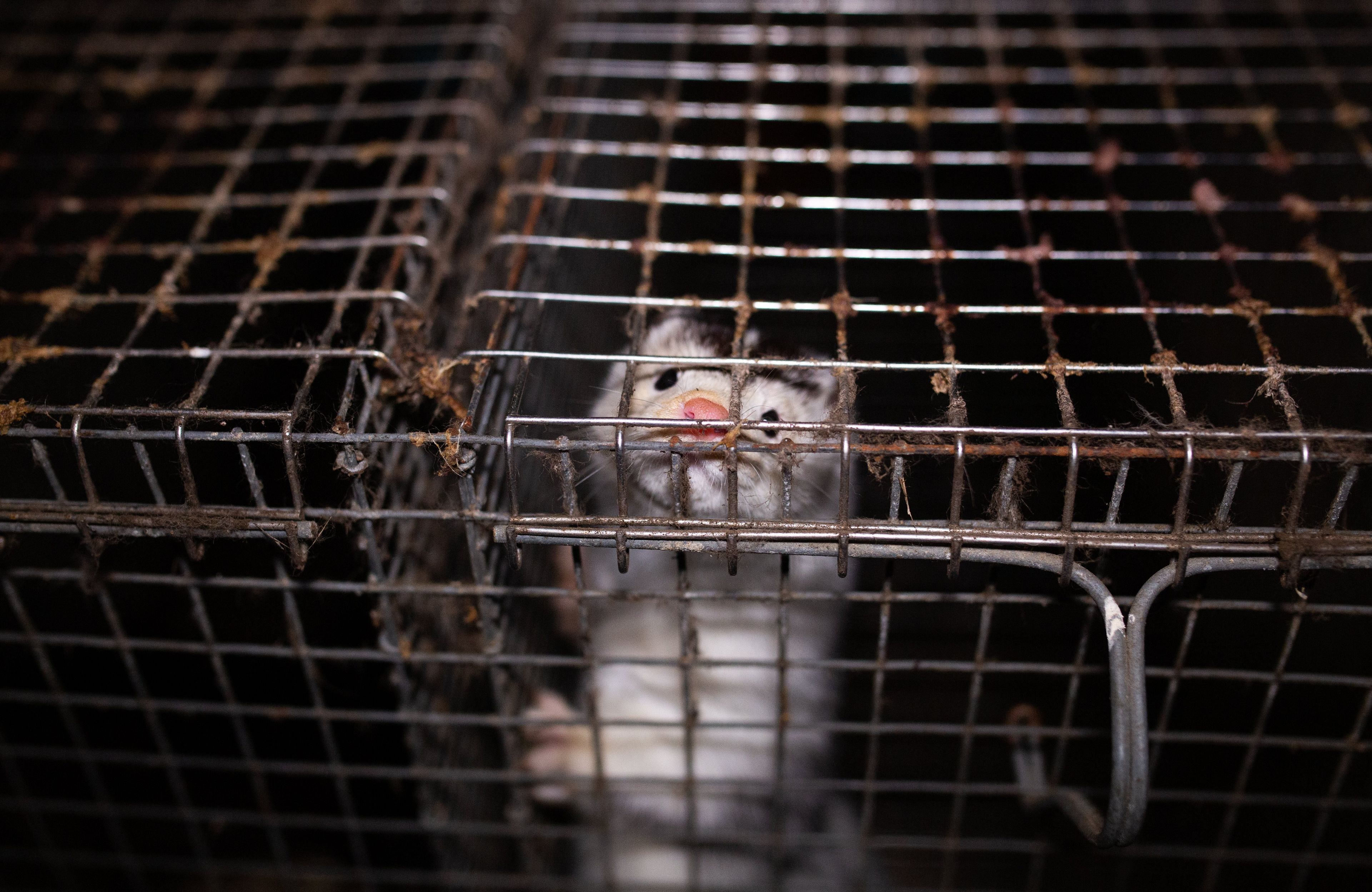 54283179763_4fb7d6c177_o