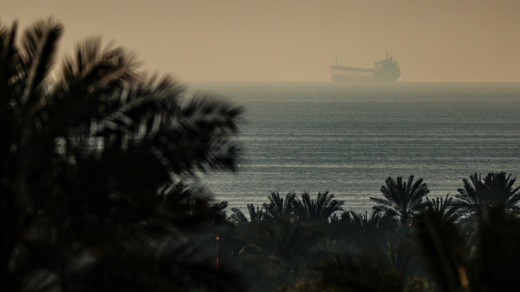 na pierwszym planie palmy, dalej widać tankowiec płynący przez cieśninę