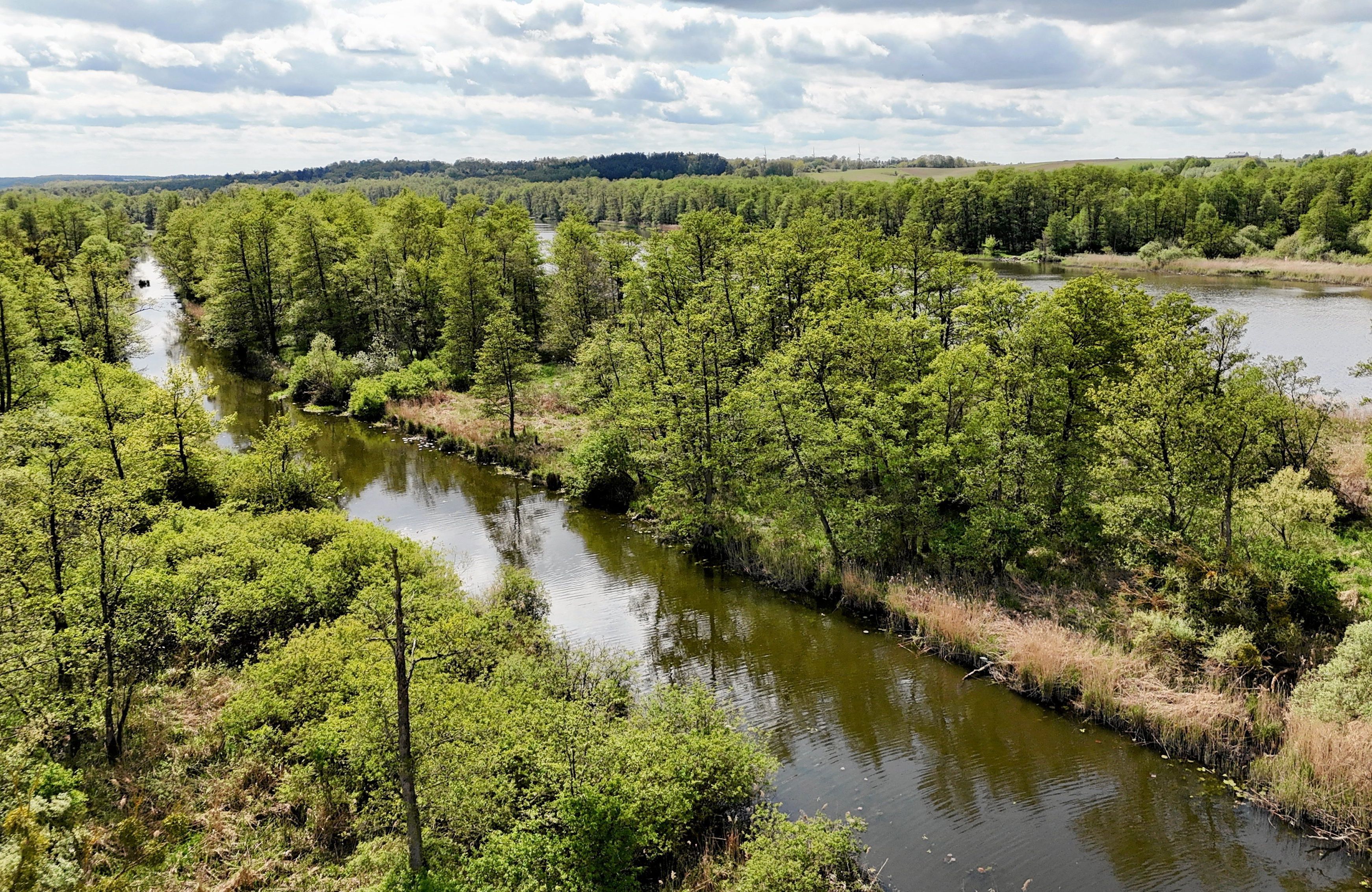 Park Narodowy Doliny Dolnej Odry