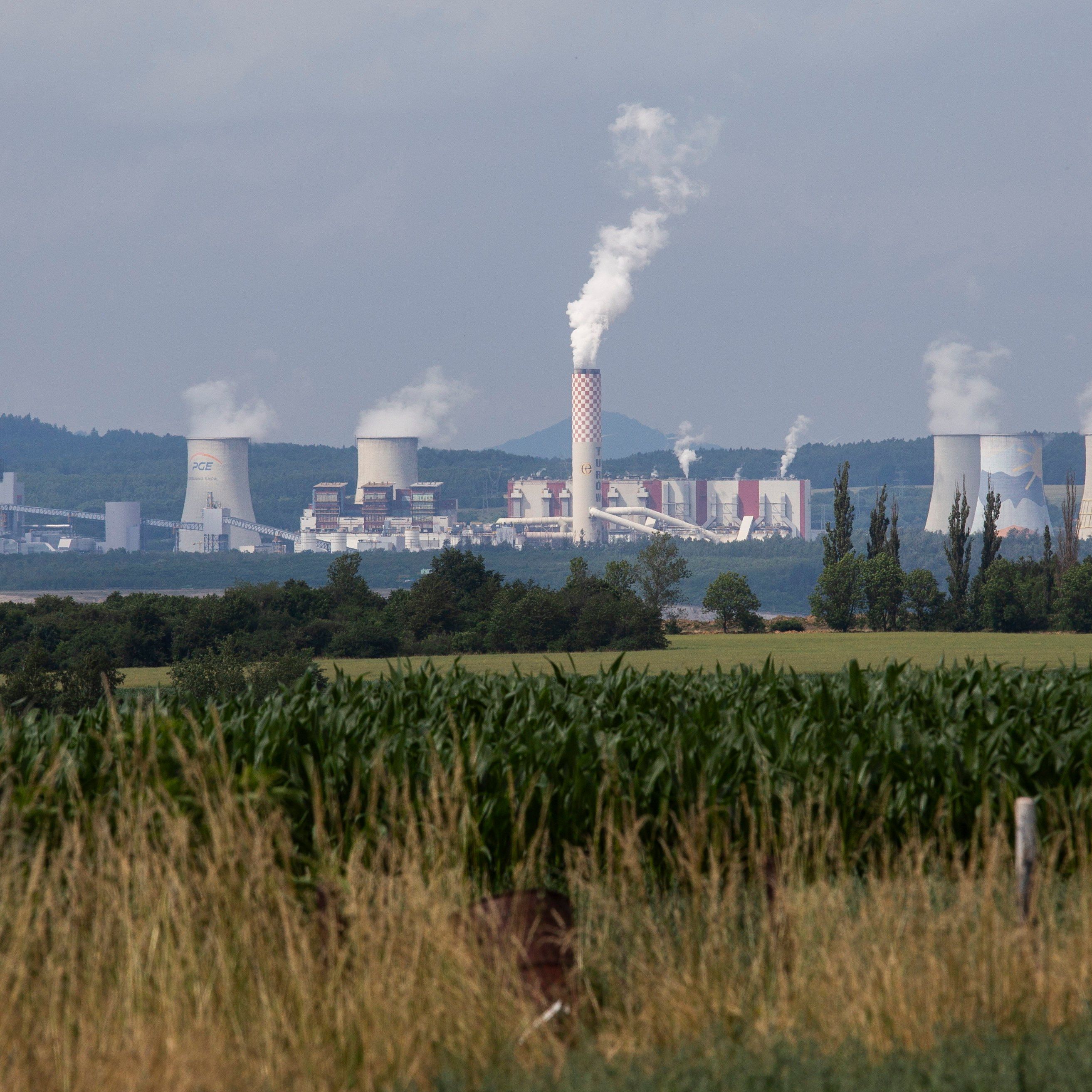 łąka, w tle kominy elektrowni