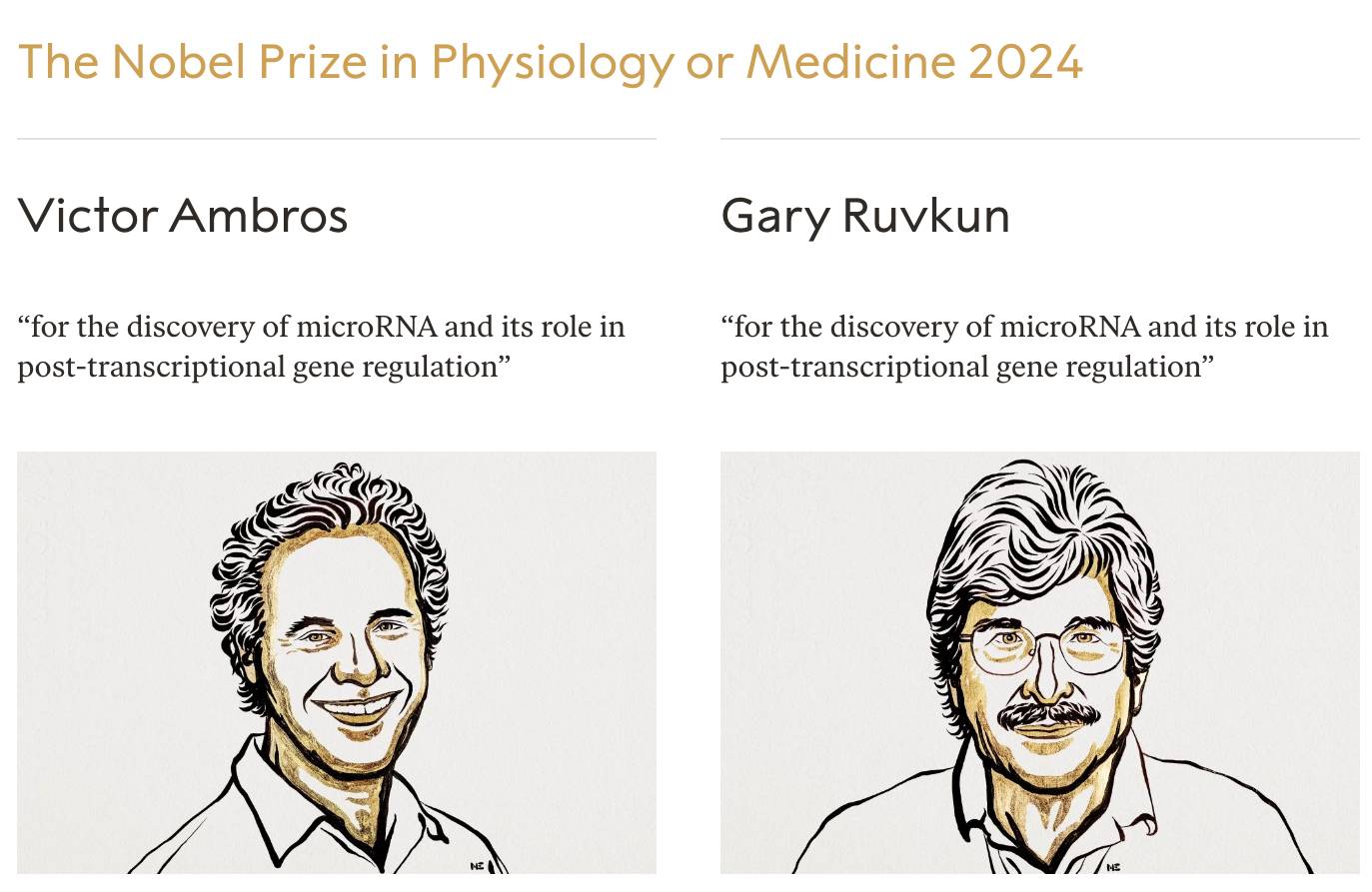 Rysunkowe portrety laueratów biologów Victora Ambrosa i Gary'ego Ruvkuna - laureatów Nagrody Nobla 2024 w dziedzinie medycyny lub fizjologii