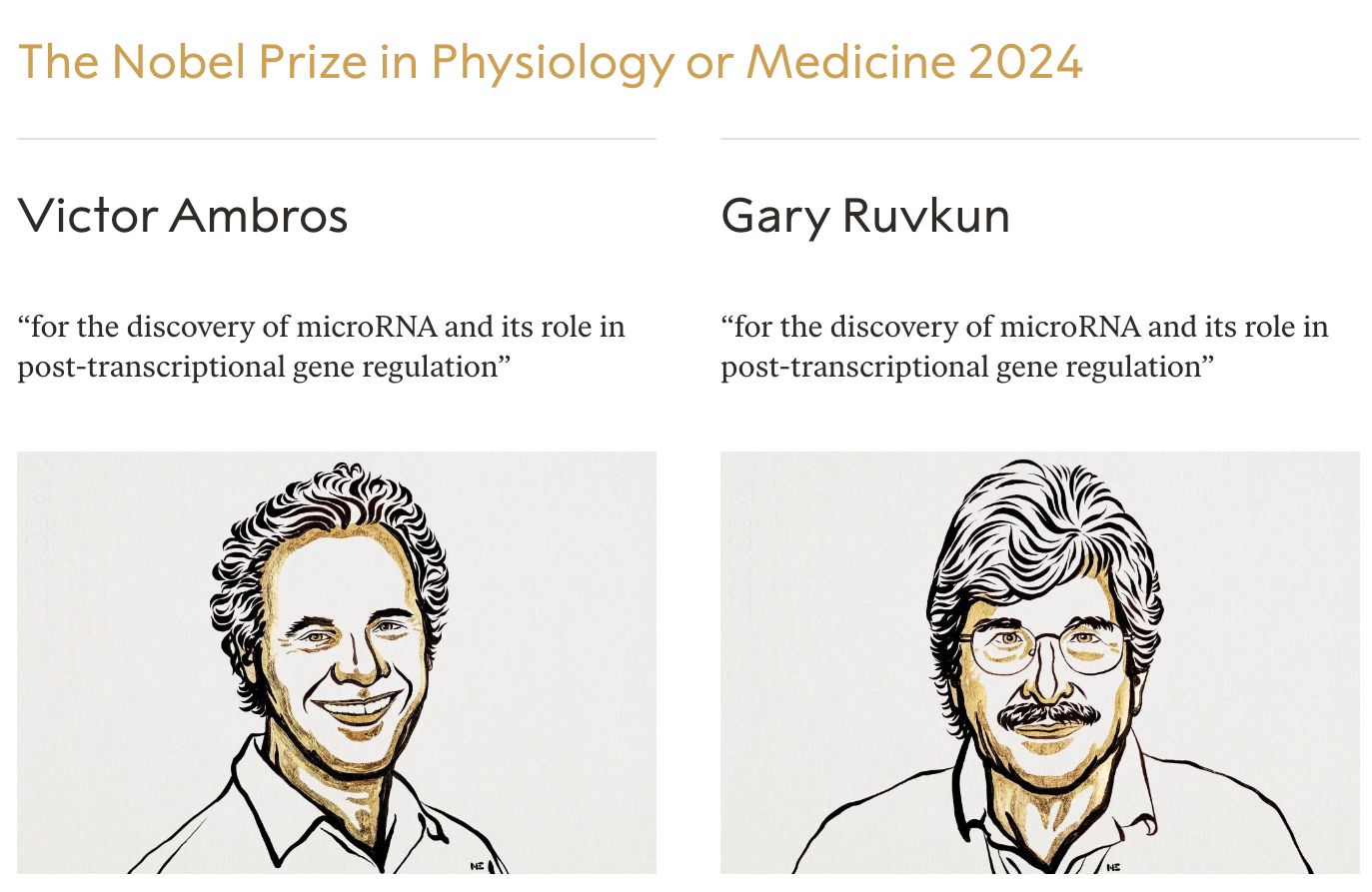 Rysunkowe portrety laueratów biologów Victora Ambrosa i Gary'ego Ruvkuna - laureatów Nagrody Nobla 2024 w dziedzinie medycyny lub fizjologii