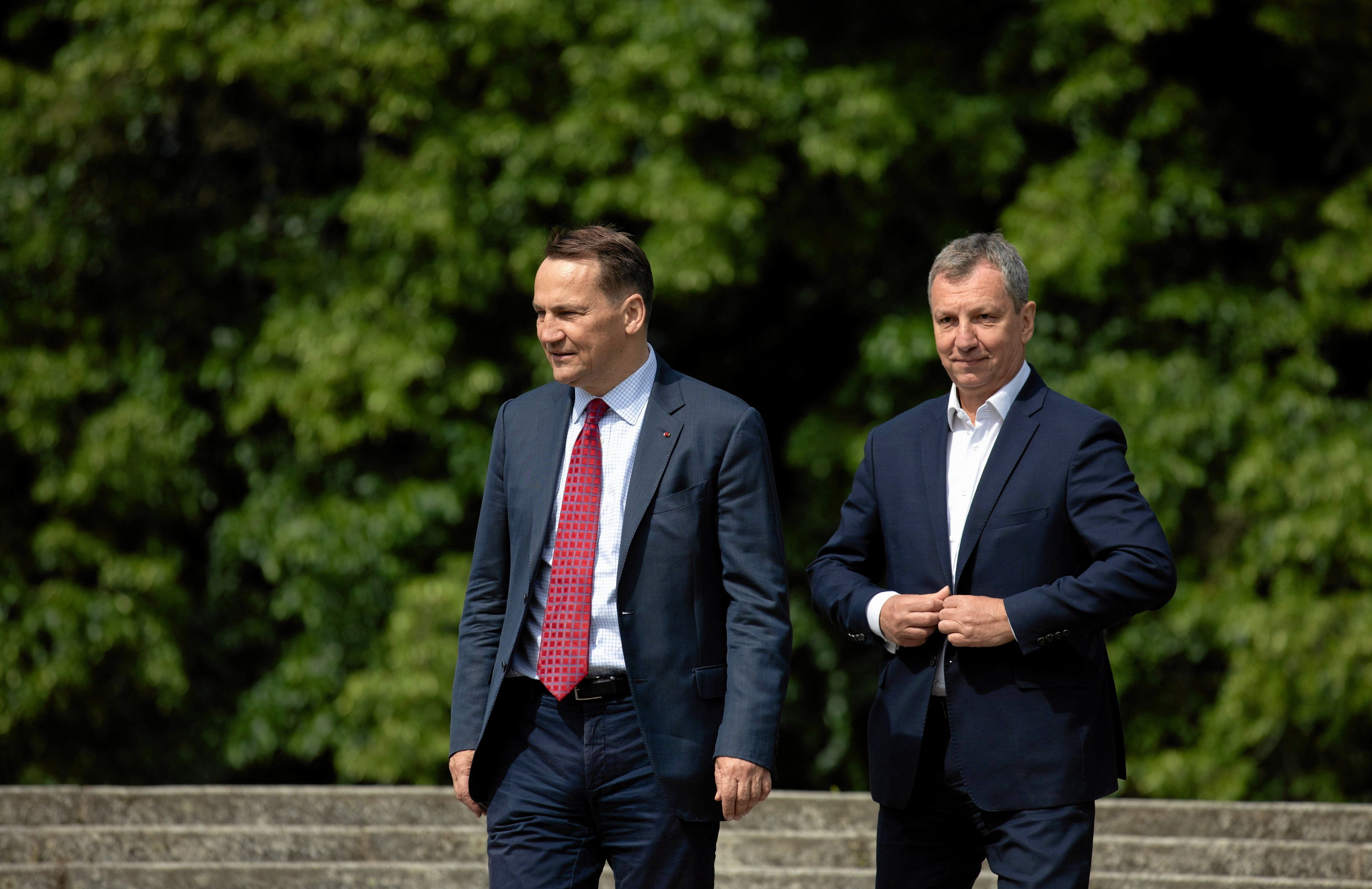 Radosław Sikorski i Andrzej Halicki w garniturach na tle drzew