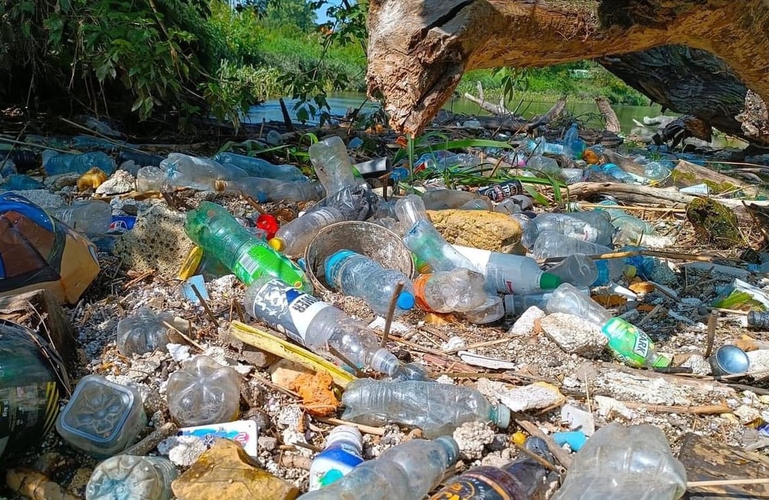 plastikowe śmieci wyłowione z rzeki