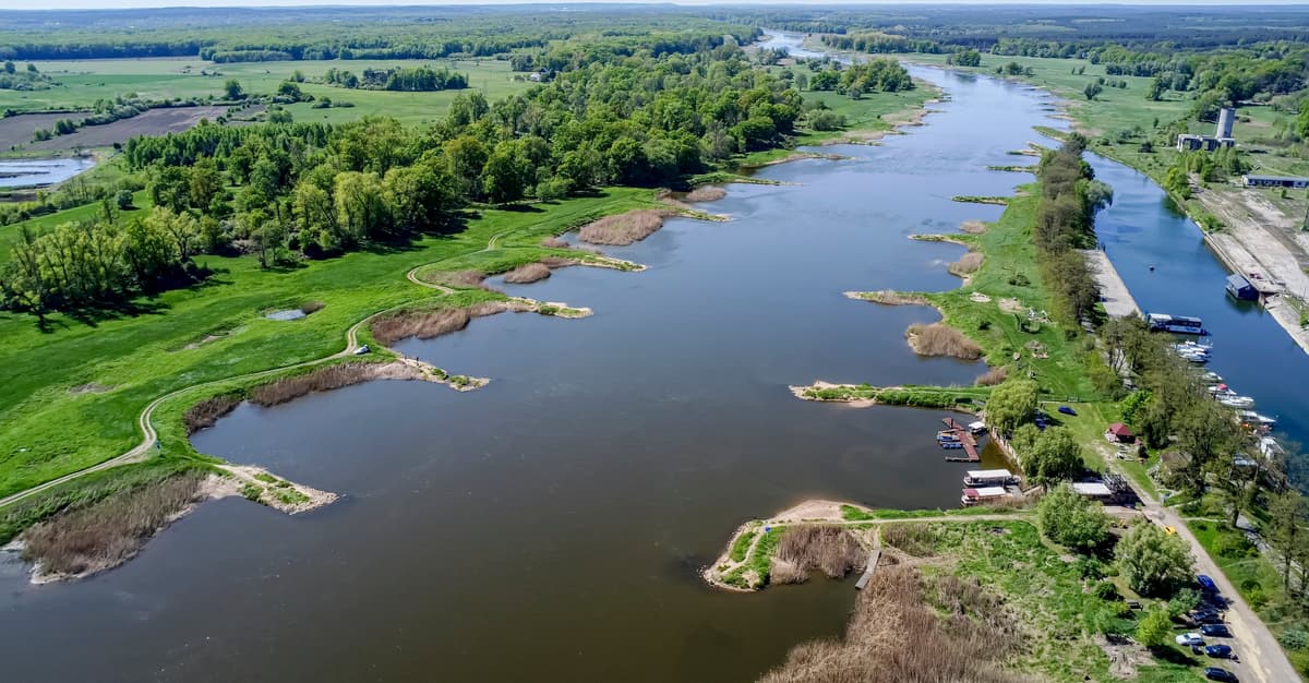 Drodzy ekoterroryści, chciałbym poślubić Odrę – mówią posłowie PiS do osób, które bronią rzek