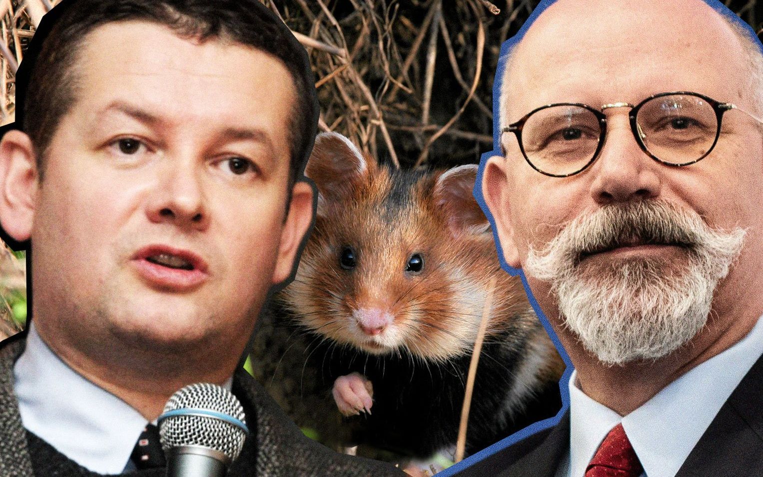 Grafika do artykułu Publiczne pieniądze trafiły do rodziny Marka Chodakiewicza. To on opowiadał w IPN o chomiku w odbycie
