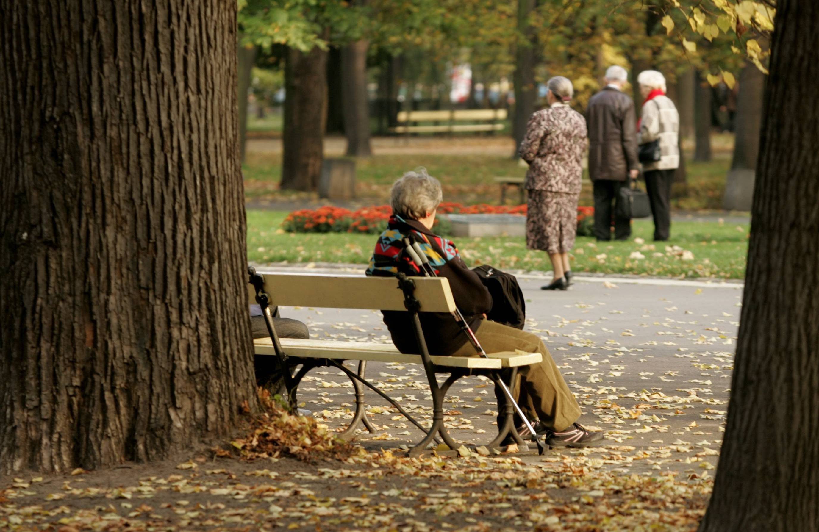 Samotna osoba siedzi na ławce w parku