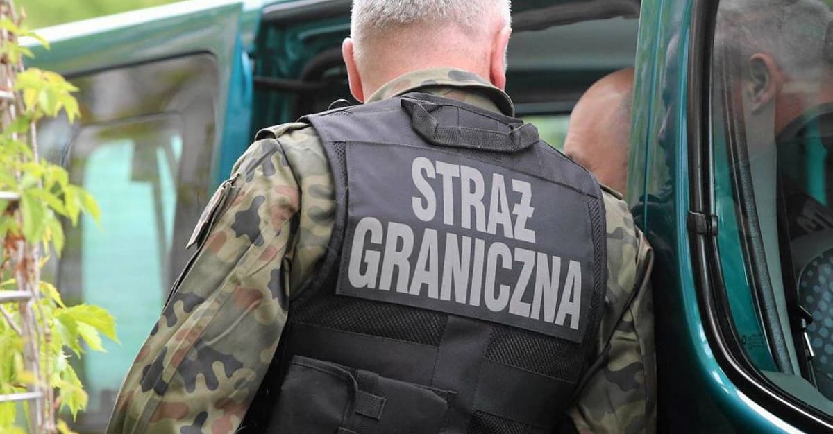 Deportacje po koncercie Maxa Korża. Obywatele RP: „To barbarzyństwo”